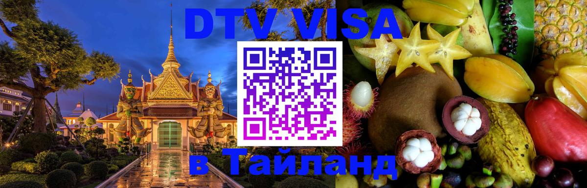 Сколько стоит DTV виза — актуальные цены, оформление даже без документов - онлайн  08.01.2026 